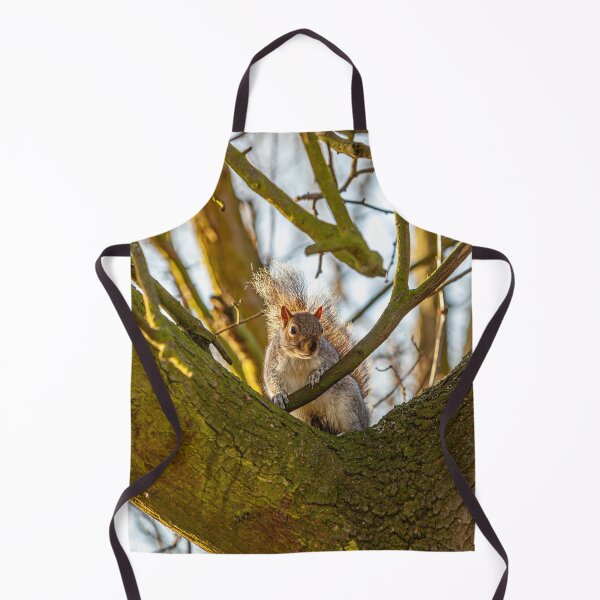 Item preview, Where is my Nuts! designed and sold by Dalyndigital Photography.