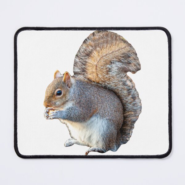 Item preview, Squirrel Nutkins has found his nuts! designed and sold by Dalyndigital Photography.