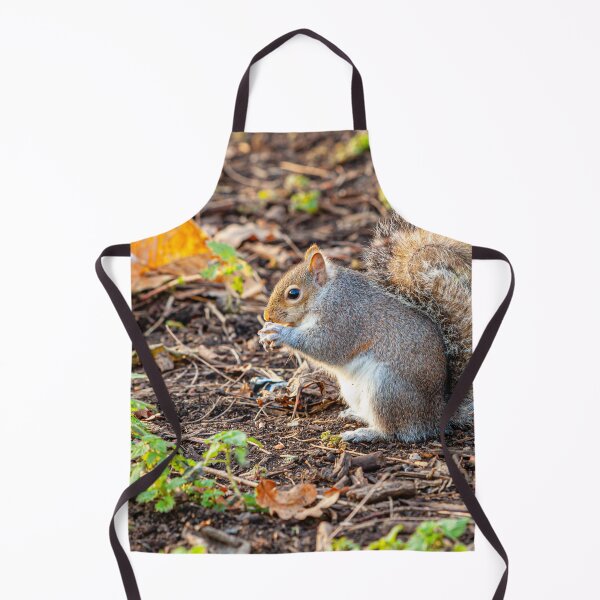 Item preview, Squirrel Nutkins has found his nuts! designed and sold by Dalyndigital Photography.
