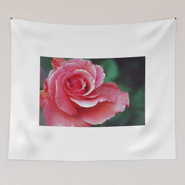 Item preview, Pink rose designed and sold by Hannah Lowe.