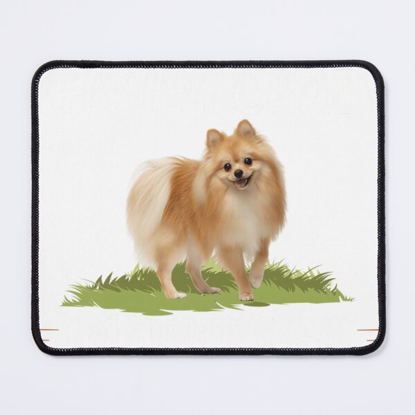 Item preview, Stop Asking why i'm crazy Pomeranian  Pomeranian Funny Gift  designed and sold by veidekolthio.