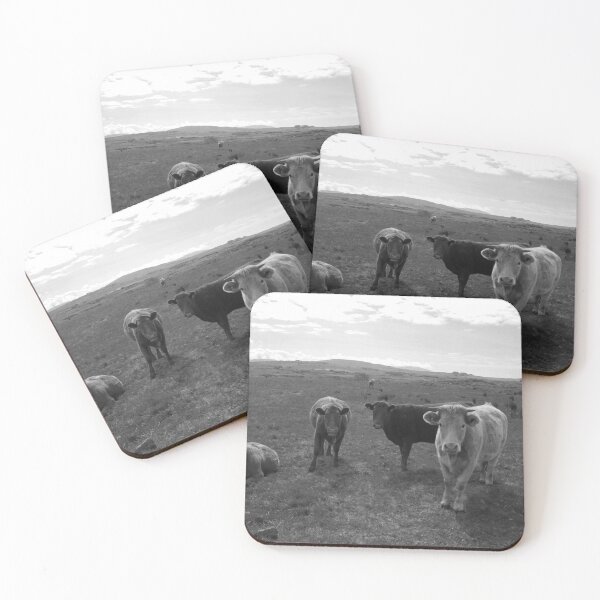 Item preview, Open range four cows look at camera black and white designed and sold by eddiebarronshop.
