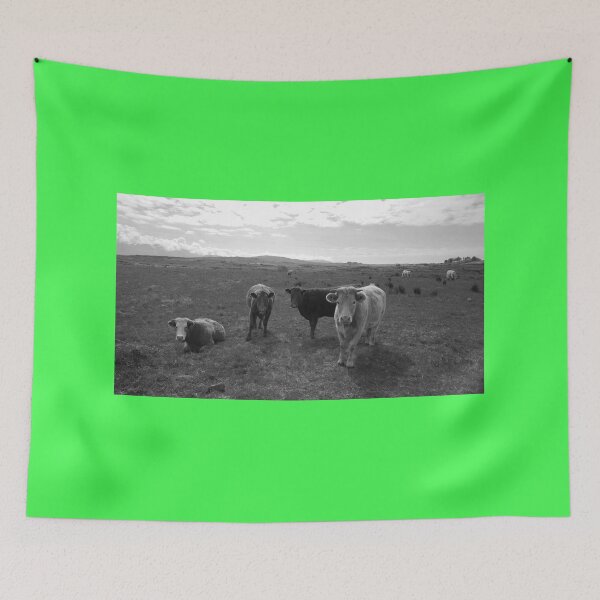 Item preview, Open range four cows look at camera black and white designed and sold by eddiebarronshop.
