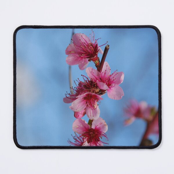 Item preview, Fruit Tree With Pink Blossom designed and sold by jojobob.