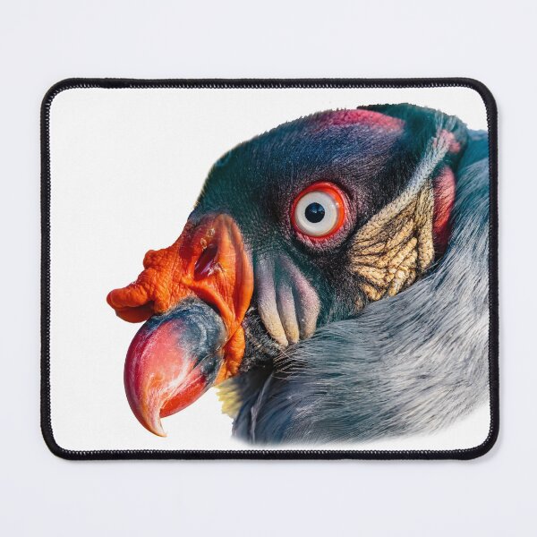Item preview, King Vulture up close and personal designed and sold by Dalyndigital Photography.