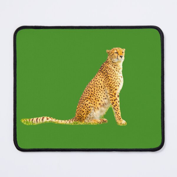 Item preview, Cheetah on guard designed and sold by Dalyndigital Photography.