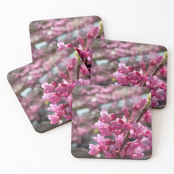Item preview, Clapp Amid Redbuds designed and sold by Pisces-Pics.