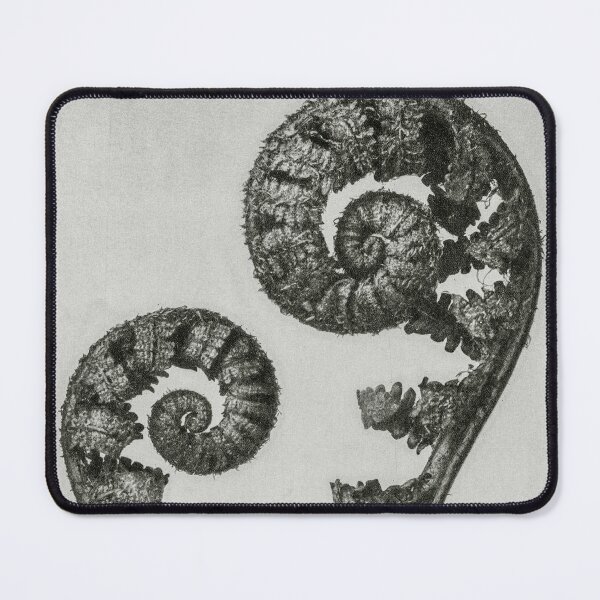 Artikelvorschau, Schild Farnwedel Vintage Botanischer Druck von Karl Blossfeldt entworfen und verkauft von Pretty Pixel.