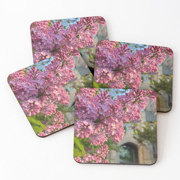 Item preview, The Lilac Archway designed and sold by Pisces-Pics.