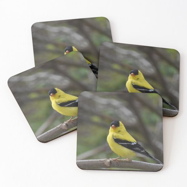 Item preview, A goldfinch in the garden designed and sold by Claude Laprise.