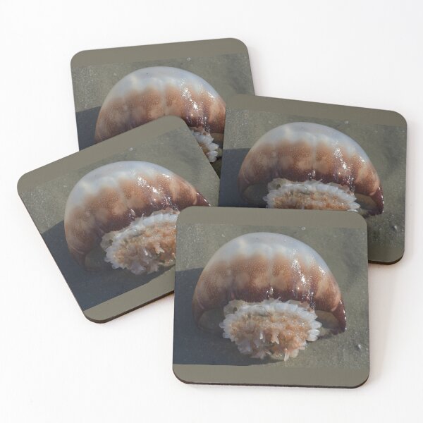 Item preview, Jelly Fish Laying on Sandy Beach designed and sold by JLFXCreations.