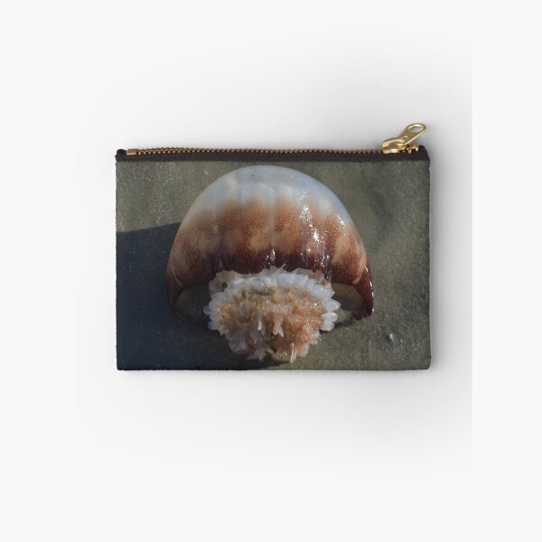 Aperçu de l'œuvre Jelly Fish portant sur Sandy Beach créée et vendue par JLFXCreations.