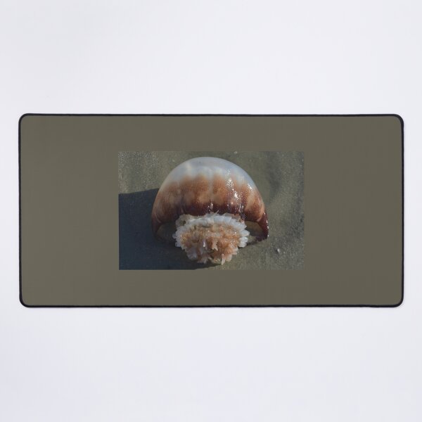 Item preview, Jelly Fish Laying on Sandy Beach designed and sold by JLFXCreations.