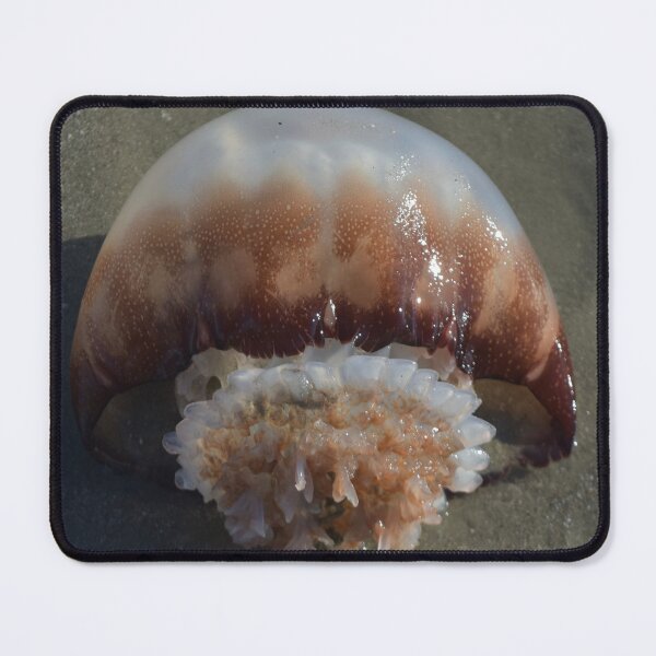 Item preview, Jelly Fish Laying on Sandy Beach designed and sold by JLFXCreations.