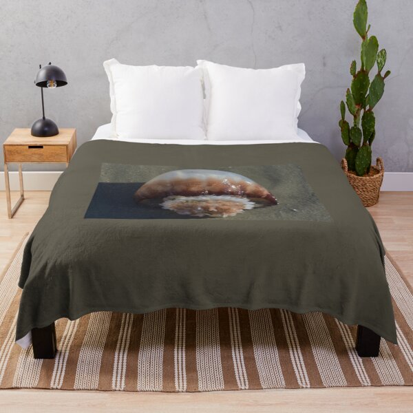 Item preview, Jelly Fish Laying on Sandy Beach designed and sold by JLFXCreations.