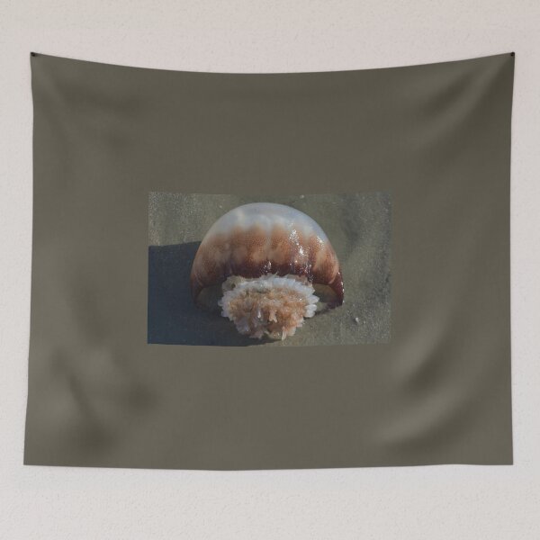 Item preview, Jelly Fish Laying on Sandy Beach designed and sold by JLFXCreations.
