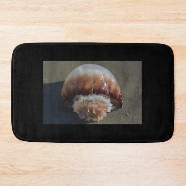 Item preview, Jelly Fish Laying on Sandy Beach designed and sold by JLFXCreations.