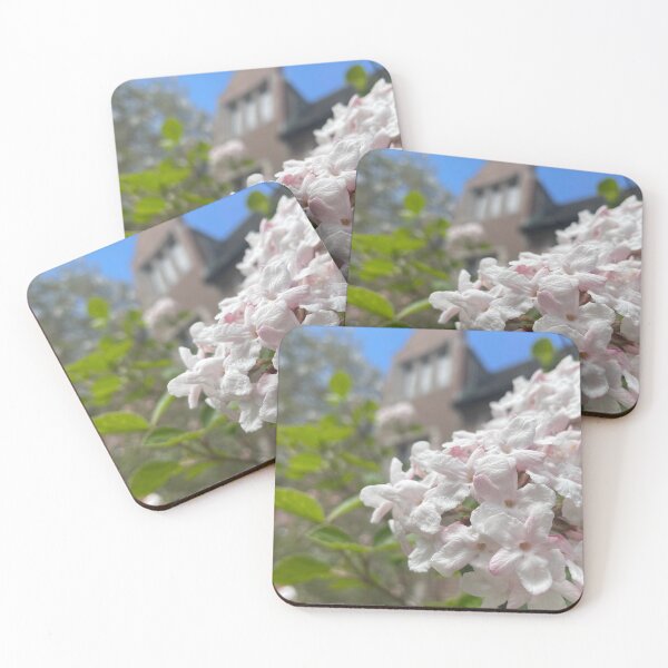 Item preview, Academic Quad in Bloom designed and sold by Pisces-Pics.