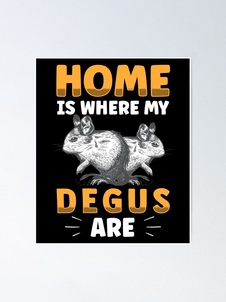 Degu is my home rodent stuffer rat