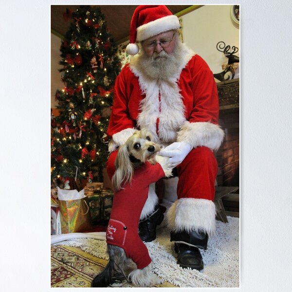 Item preview, Chewy Finally gets to Meet Santa designed and sold by Melissa Glabay.