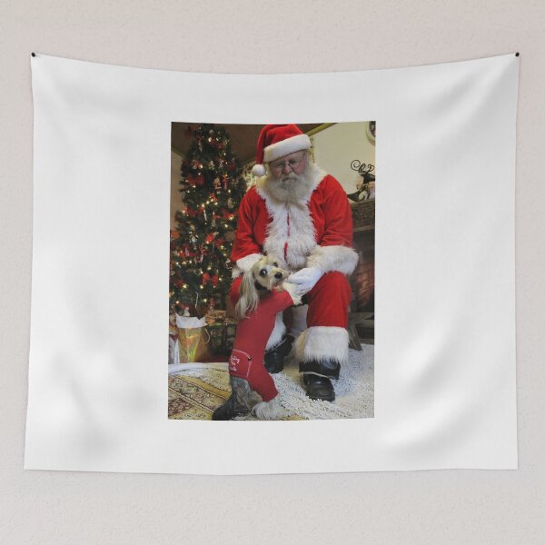 Item preview, Chewy Finally gets to Meet Santa designed and sold by Melissa Glabay.