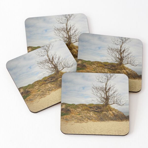 Item preview, Tree on sandy beach county mayo ireland designed and sold by eddiebarronshop.