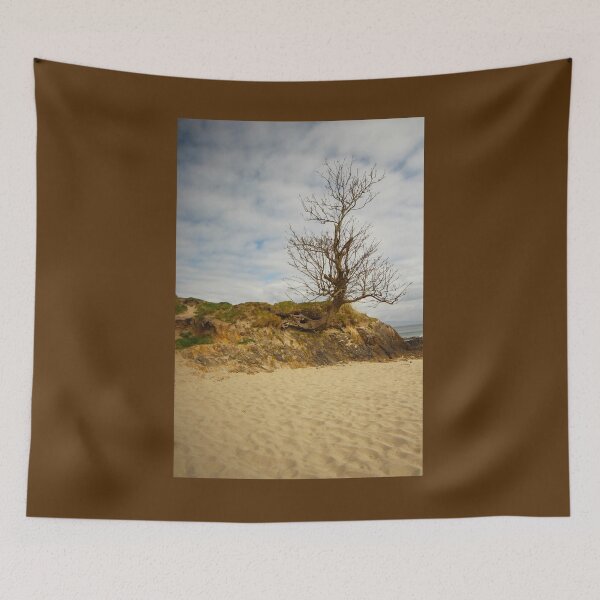 Item preview, Tree on sandy beach county mayo ireland designed and sold by eddiebarronshop.