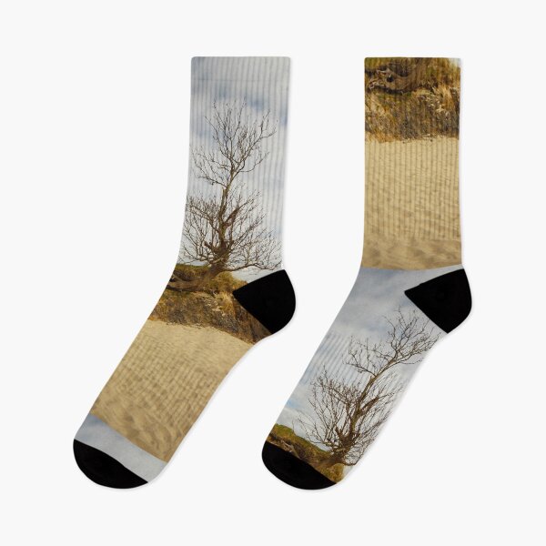 Item preview, Tree on sandy beach county mayo ireland designed and sold by eddiebarronshop.