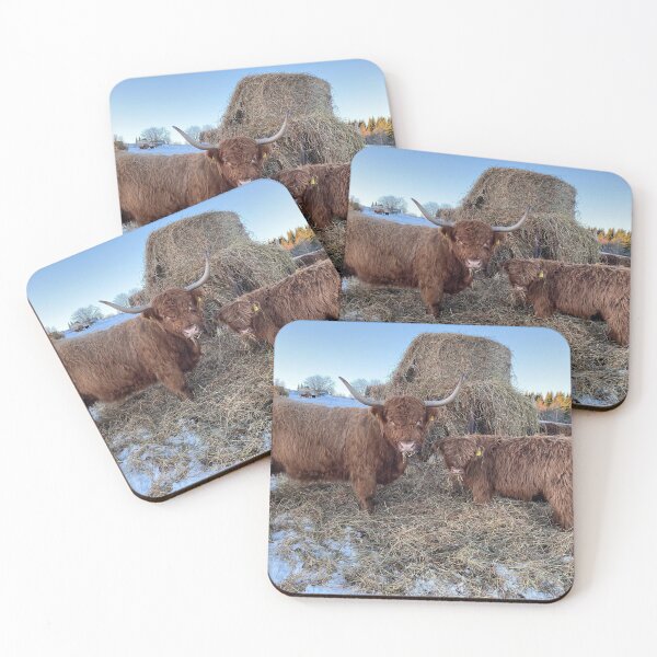 Item preview, Scottish Highland Cattle Cow and calf 4234 designed and sold by SaarelaHighland.