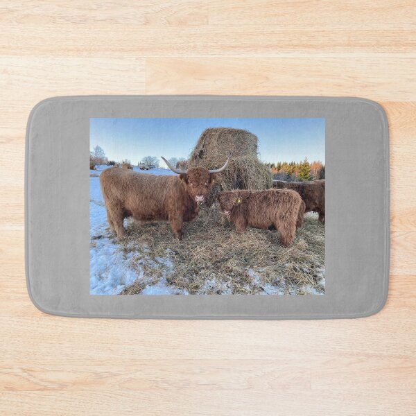 Item preview, Scottish Highland Cattle Cow and calf 4234 designed and sold by SaarelaHighland.