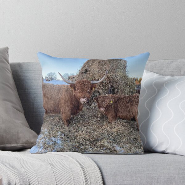 Item preview, Scottish Highland Cattle Cow and calf 4234 designed and sold by SaarelaHighland.