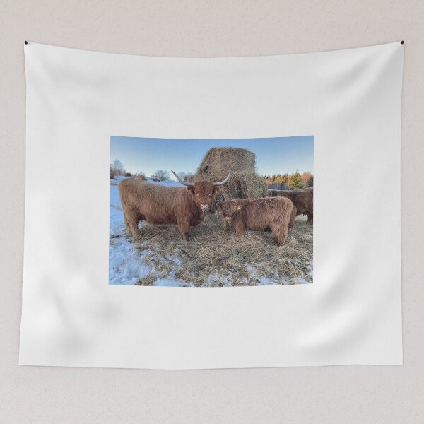 Item preview, Scottish Highland Cattle Cow and calf 4234 designed and sold by SaarelaHighland.