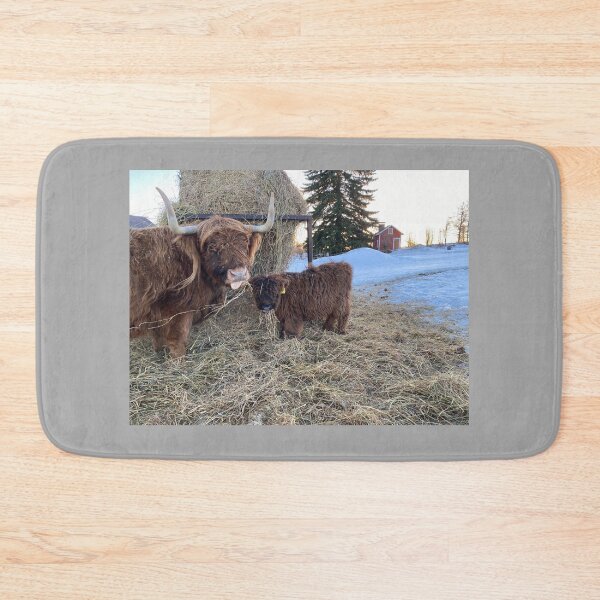 Item preview, Scottish Highland Cattle Cow and calf 4235 designed and sold by SaarelaHighland.