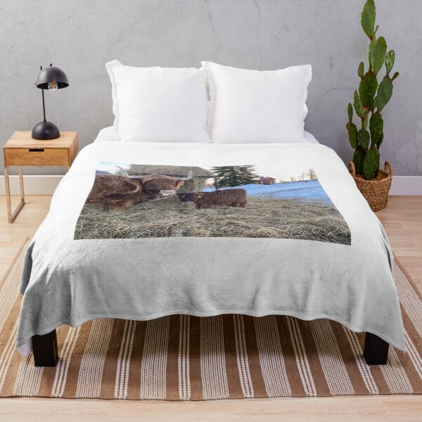 Item preview, Scottish Highland Cattle Cow and calf 4235 designed and sold by SaarelaHighland.