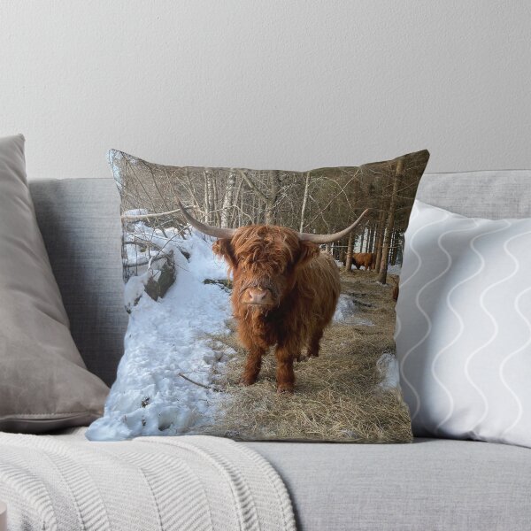 Item preview, Scottish Highland Cattle Cow 4239 designed and sold by SaarelaHighland.