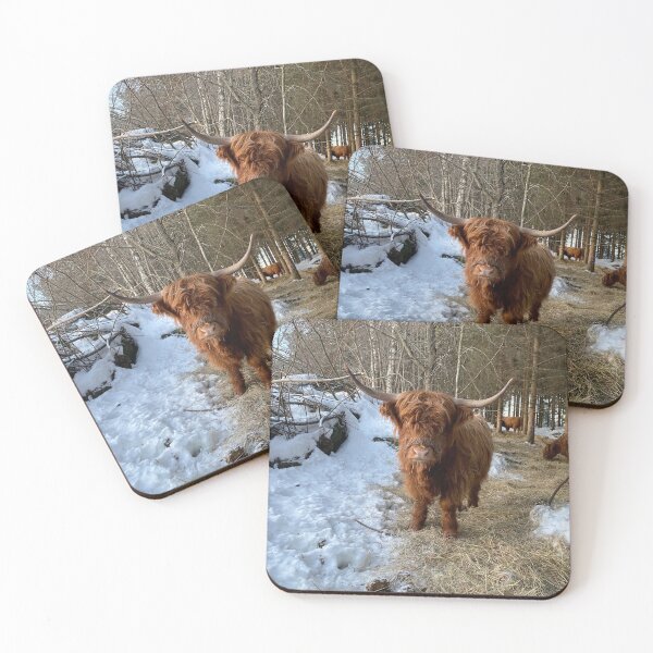 Item preview, Scottish Highland Cattle Cow 4239 designed and sold by SaarelaHighland.