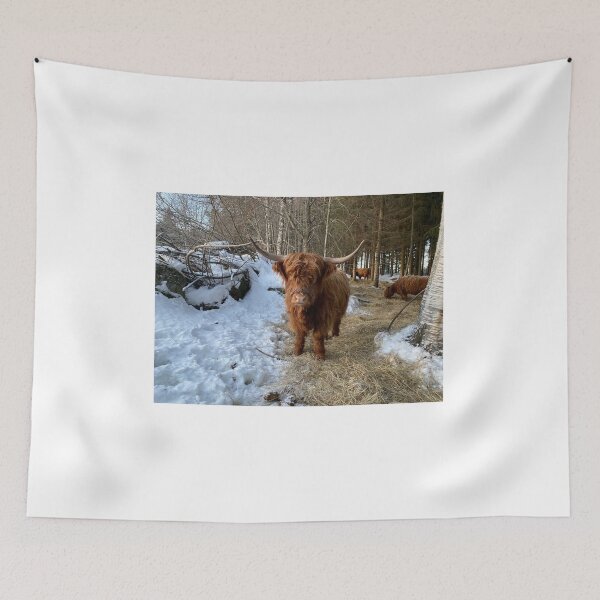 Item preview, Scottish Highland Cattle Cow 4239 designed and sold by SaarelaHighland.
