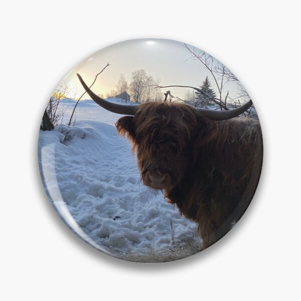 Item preview, Scottish Highland Cattle Cow 4240 designed and sold by SaarelaHighland.