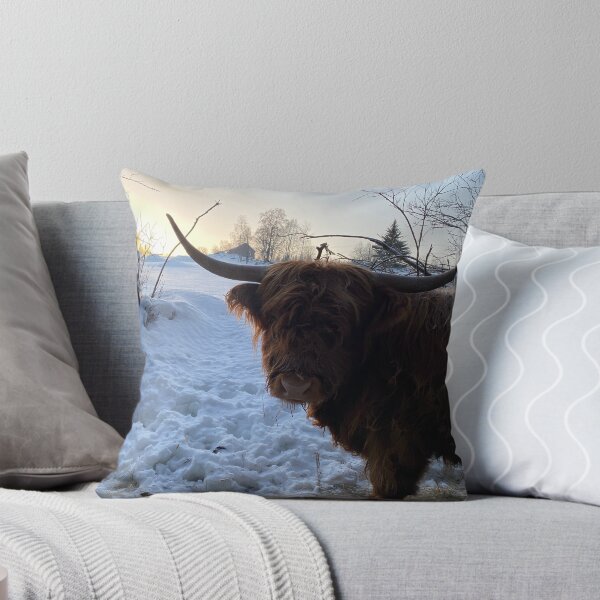 Item preview, Scottish Highland Cattle Cow 4240 designed and sold by SaarelaHighland.