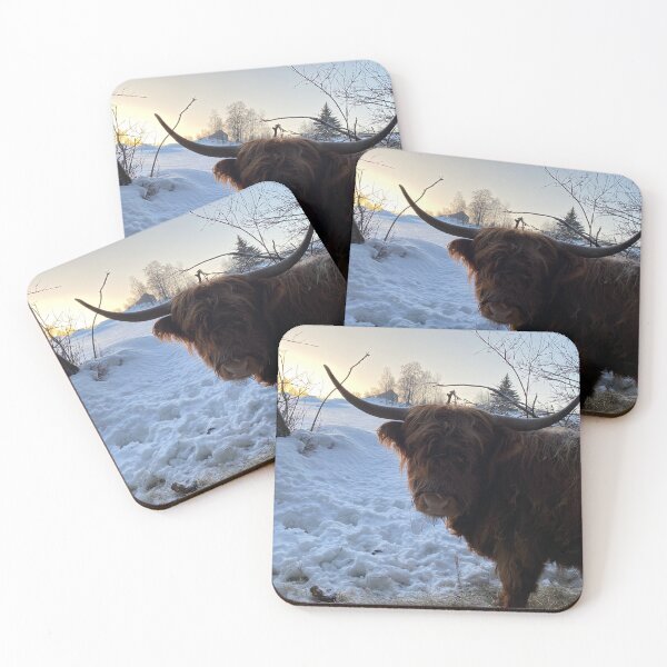 Item preview, Scottish Highland Cattle Cow 4240 designed and sold by SaarelaHighland.