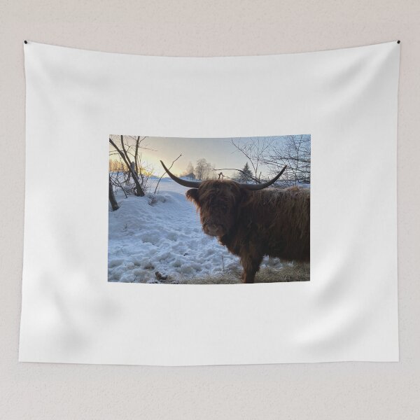 Item preview, Scottish Highland Cattle Cow 4240 designed and sold by SaarelaHighland.