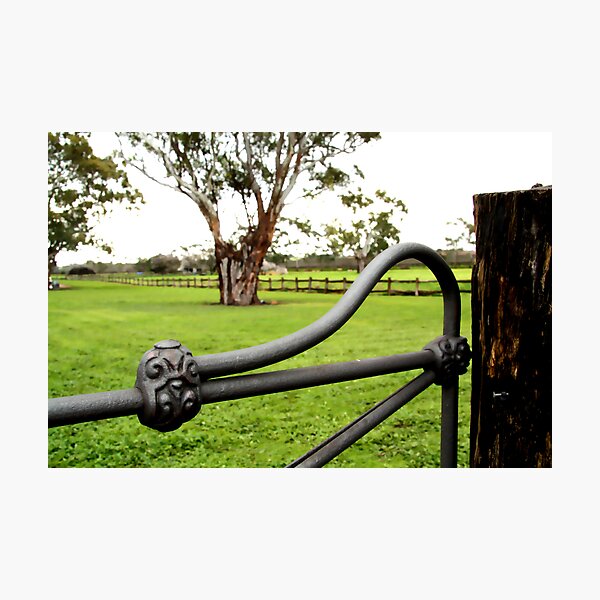 Penny's Hill Gate 2 Photographic Print