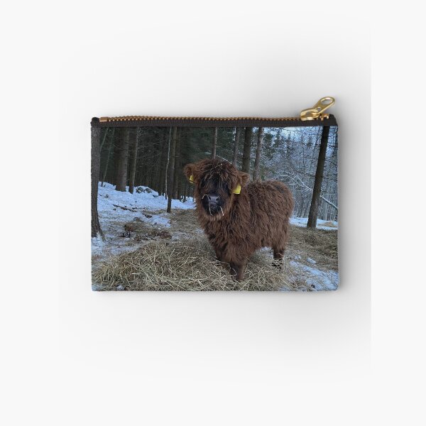 Item preview, Scottish Highland Cattle Calf 4241 designed and sold by SaarelaHighland.