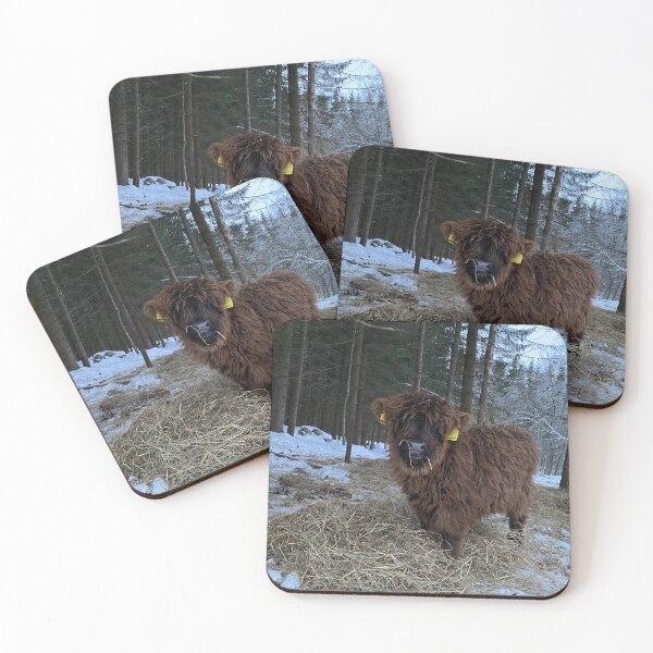 Item preview, Scottish Highland Cattle Calf 4241 designed and sold by SaarelaHighland.