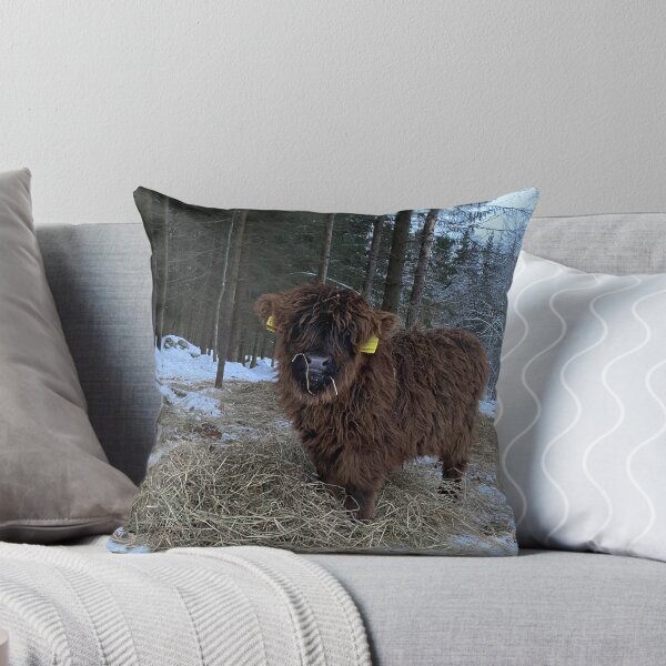 Item preview, Scottish Highland Cattle Calf 4241 designed and sold by SaarelaHighland.
