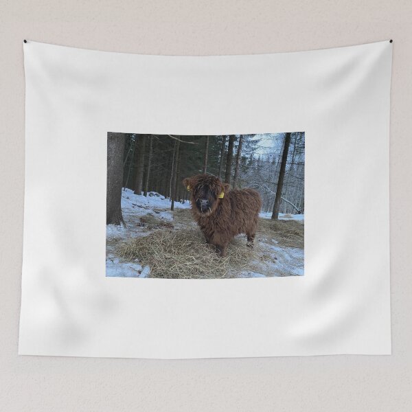 Item preview, Scottish Highland Cattle Calf 4241 designed and sold by SaarelaHighland.