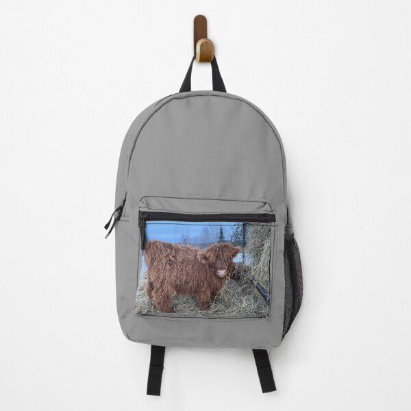 Item preview, Scottish Highland Cattle Calf 4243 designed and sold by SaarelaHighland.
