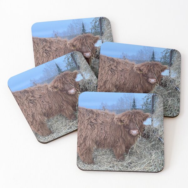 Item preview, Scottish Highland Cattle Calf 4243 designed and sold by SaarelaHighland.