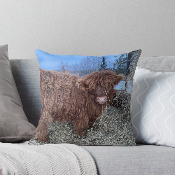 Item preview, Scottish Highland Cattle Calf 4243 designed and sold by SaarelaHighland.