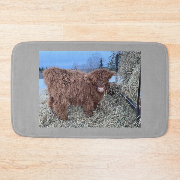 Item preview, Scottish Highland Cattle Calf 4243 designed and sold by SaarelaHighland.